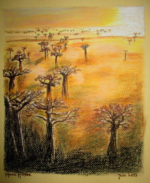 Coucher de soleil sur les baobabs